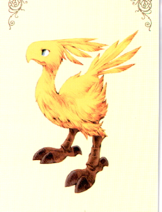 Chocobo Picture
